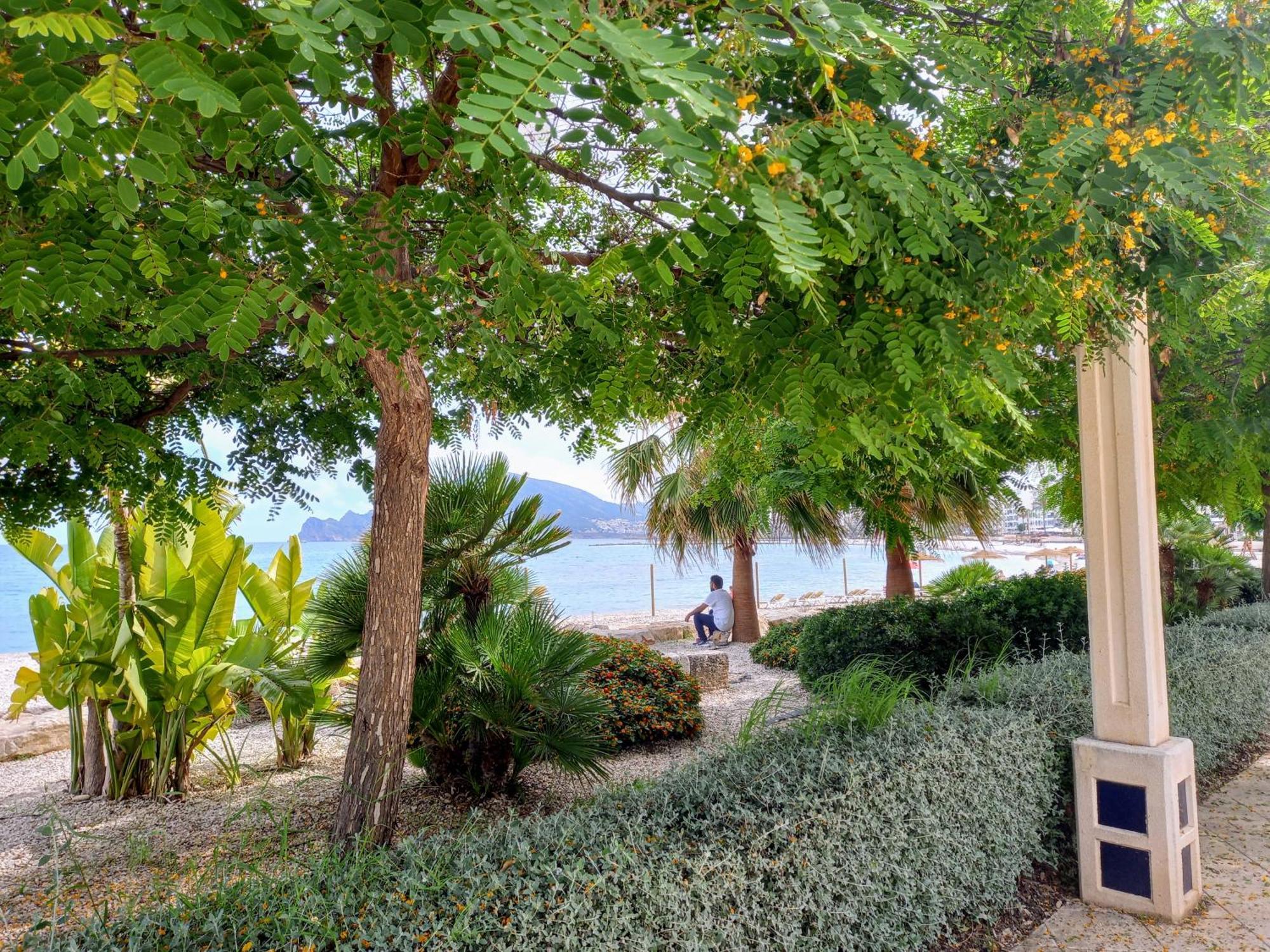 Townhouse Los Olivos M Altea Ngoại thất bức ảnh